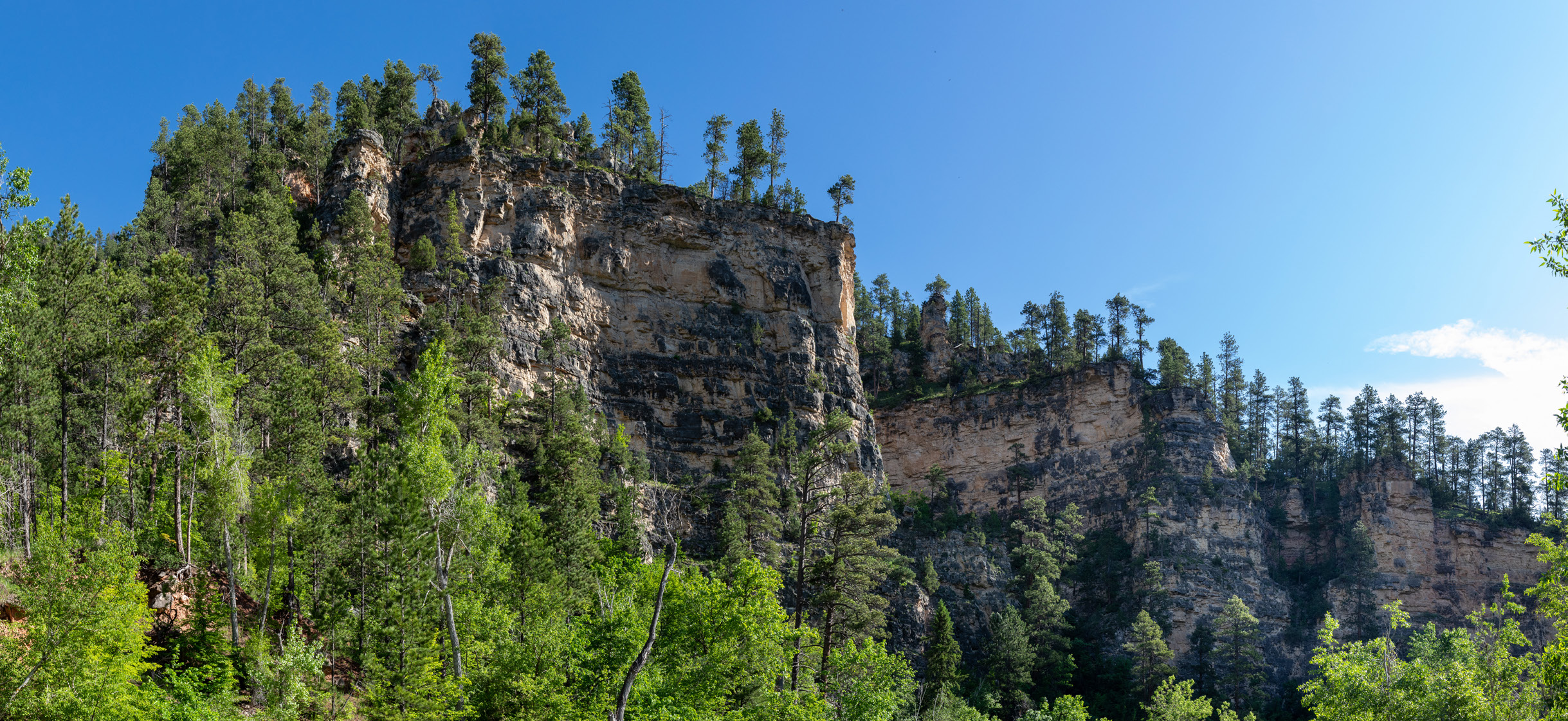 Black Hills landscape photo